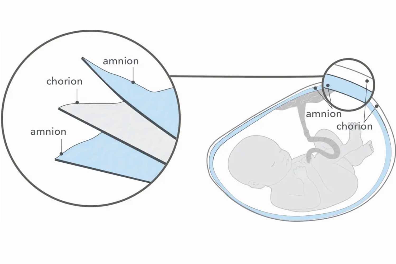 articent ac diagram